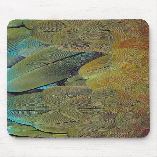 Tapis De Souris Surface de la plume (Devant)