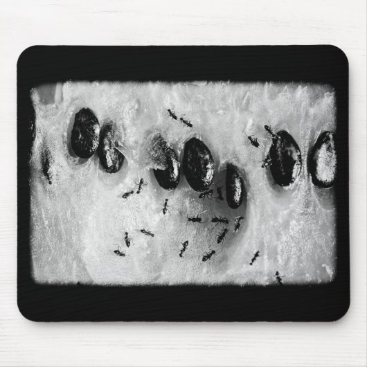 Tapis De Souris surfing ants (Devant)