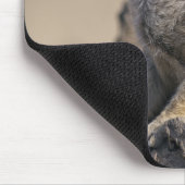 Tapis de souris suricate (Coin)