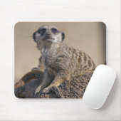 Tapis de souris suricate (Avec souris)