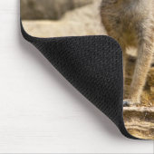 Tapis De Souris Suricate (Coin)