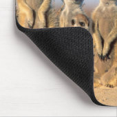 Tapis De Souris Suricate family sunning themselves at their (Coin)