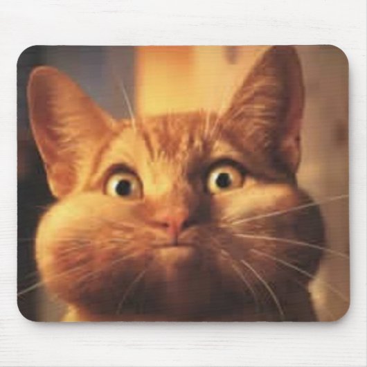 Tapis De Souris Surpris Chat Mousepad (Devant)