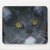 Tapis De Souris Svp (Devant)