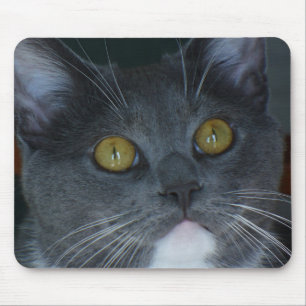 Tapis De Souris Svp