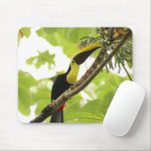 Tapis De Souris Swainson Toucan (Avec souris)