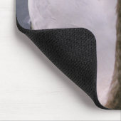 Tapis De Souris Swan (Coin)