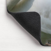 Tapis De Souris Swan (Coin)
