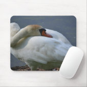 Tapis De Souris Swan (Avec souris)