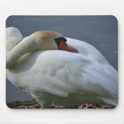 Tapis De Souris Swan (Devant)
