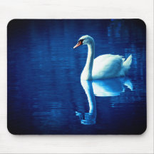 Swan sur le lac