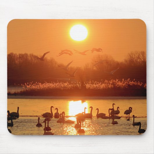 Tapis De Souris Swans dans le lac au coucher du soleil (Devant)