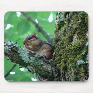Tapis De Souris Sweet Chipmunk dans un arbre Vêtements et cadeaux