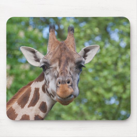 Tapis De Souris Sweet Curios Giraffe (Devant)