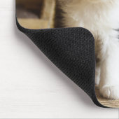 Tapis De Souris Sweet Tomcat Kitten (Coin)