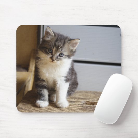 Tapis De Souris Sweet Tomcat Kitten (Avec souris)