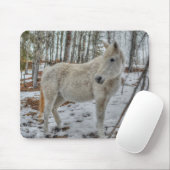 Tapis De Souris Sweet White Mare et cadeau de forêt d'hiver (Avec souris)