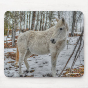 Tapis De Souris Sweet White Mare et cadeau de forêt d'hiver