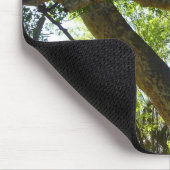 Tapis De Souris Sycamore Tree Nature verte (Coin)