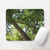 Tapis De Souris Sycamore Tree Nature verte (Avec souris)
