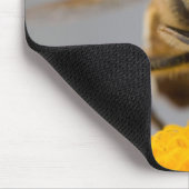 Tapis De Souris Syrphidae (Coin)