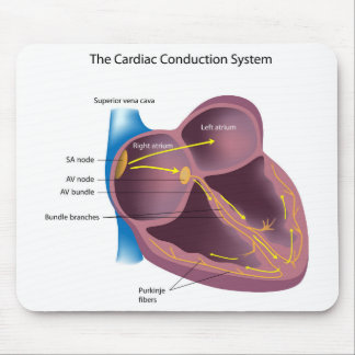 Tapis De Souris Système cardiaque Mousepad de conduction