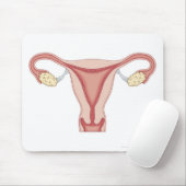 Tapis De Souris Système de reproduction féminine 2 (Avec souris)
