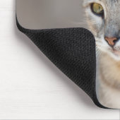 Tapis De Souris Tabby (Coin)