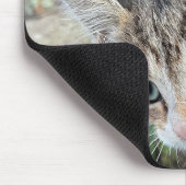 Tapis De Souris Tabby (Coin)
