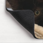 Tapis De Souris Tabby (Coin)