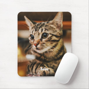 Tapis De Souris Tabby American Shorthair Custom