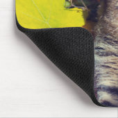 Tapis De Souris Tabby Basking dans le Foliage (Coin)