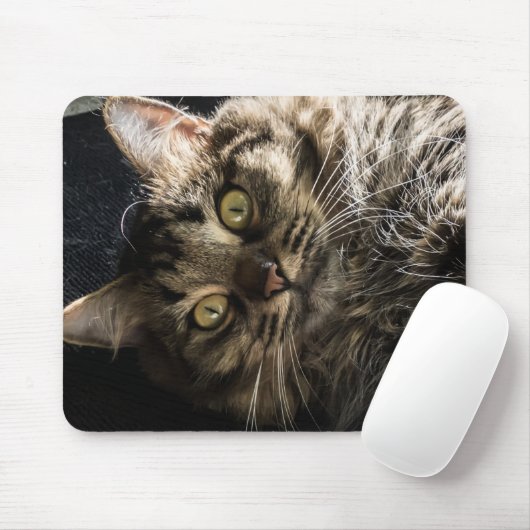 Tapis De Souris Tabby Cat (Avec souris)