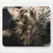 Tapis De Souris Tabby Cat (Devant)