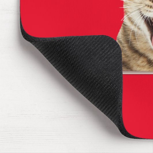 Tapis De Souris Tabby Chat et Daisies (Coin)