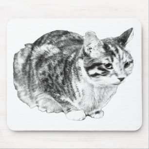 Tapis De Souris Tabby Focalisé, Tons Bureau Velours