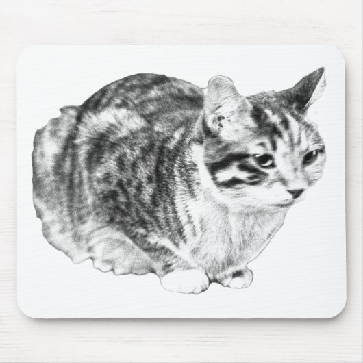 Tapis De Souris Tabby Focalisé, Tons Bureau Velours (Devant)