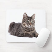 Tapis De Souris Tabby Gris (Avec souris)