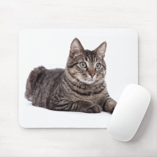 Tapis De Souris Tabby Gris (Avec souris)