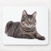 Tapis De Souris Tabby Gris (Devant)
