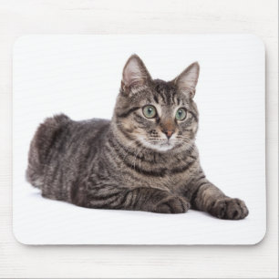 Tapis De Souris Tabby Gris