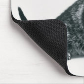 Tapis De Souris Tabby Kitten (Coin)
