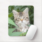 Tapis De Souris Tabby Kitten (Avec souris)