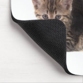 Tapis De Souris tabby kitten black kitten (Coin)