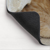 Tapis De Souris Tabby Tomcat Kitten (Coin)