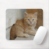 Tapis De Souris Tabby Tomcat Kitten (Avec souris)