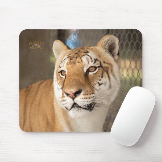 Tapis De Souris Tabitha (Avec souris)