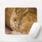 Tapis De Souris Table orange dormant dans le hamper (Avec souris)