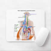 Tapis De Souris Tableau du système Renin-Angiotensine Diagramme du (Avec souris)