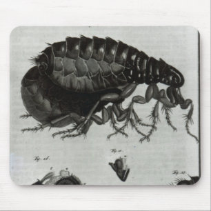 Tapis De Souris Tableau IV des mouches et des puces